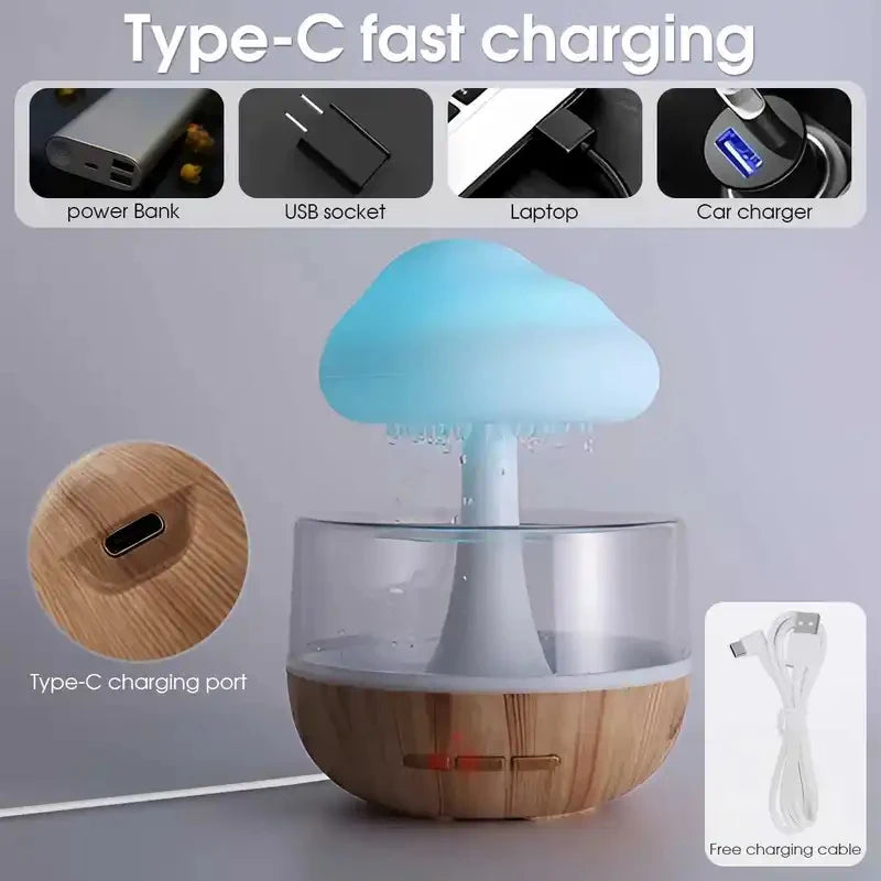 Rain Cloud Humidifier/ Lamp