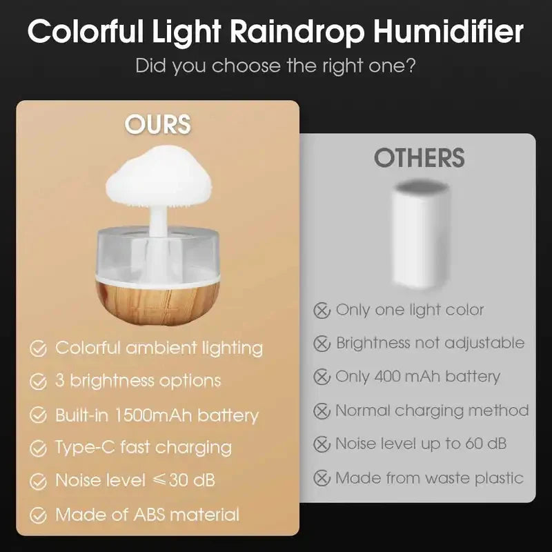 Rain Cloud Humidifier/ Lamp