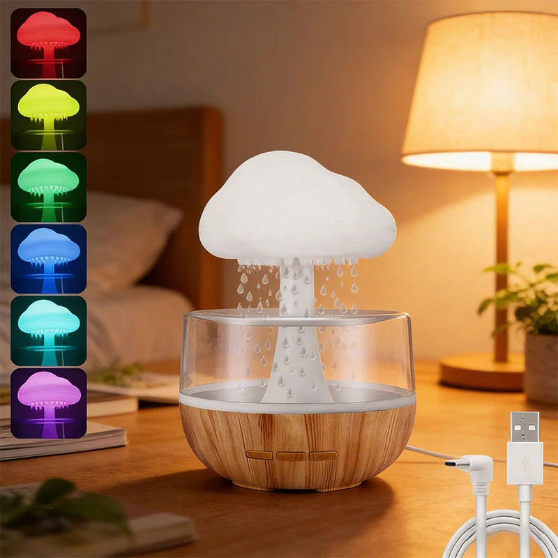 Rain Cloud Humidifier/ Lamp